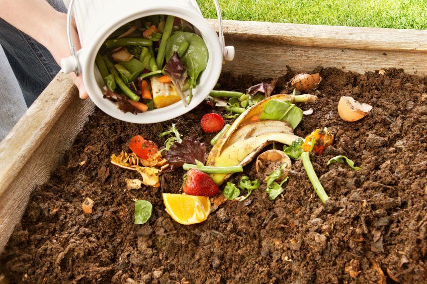 compost-pile
