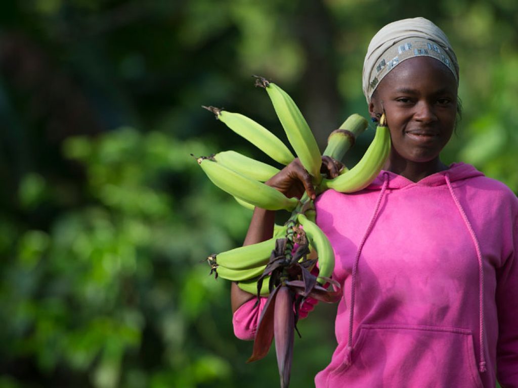 Women in Business - Plantain Farmer in Sierra Leone